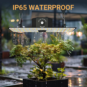 Brighten Your Garden with 4-Foot LED Grow Lights and the Value of Clearance LED Grow Lights