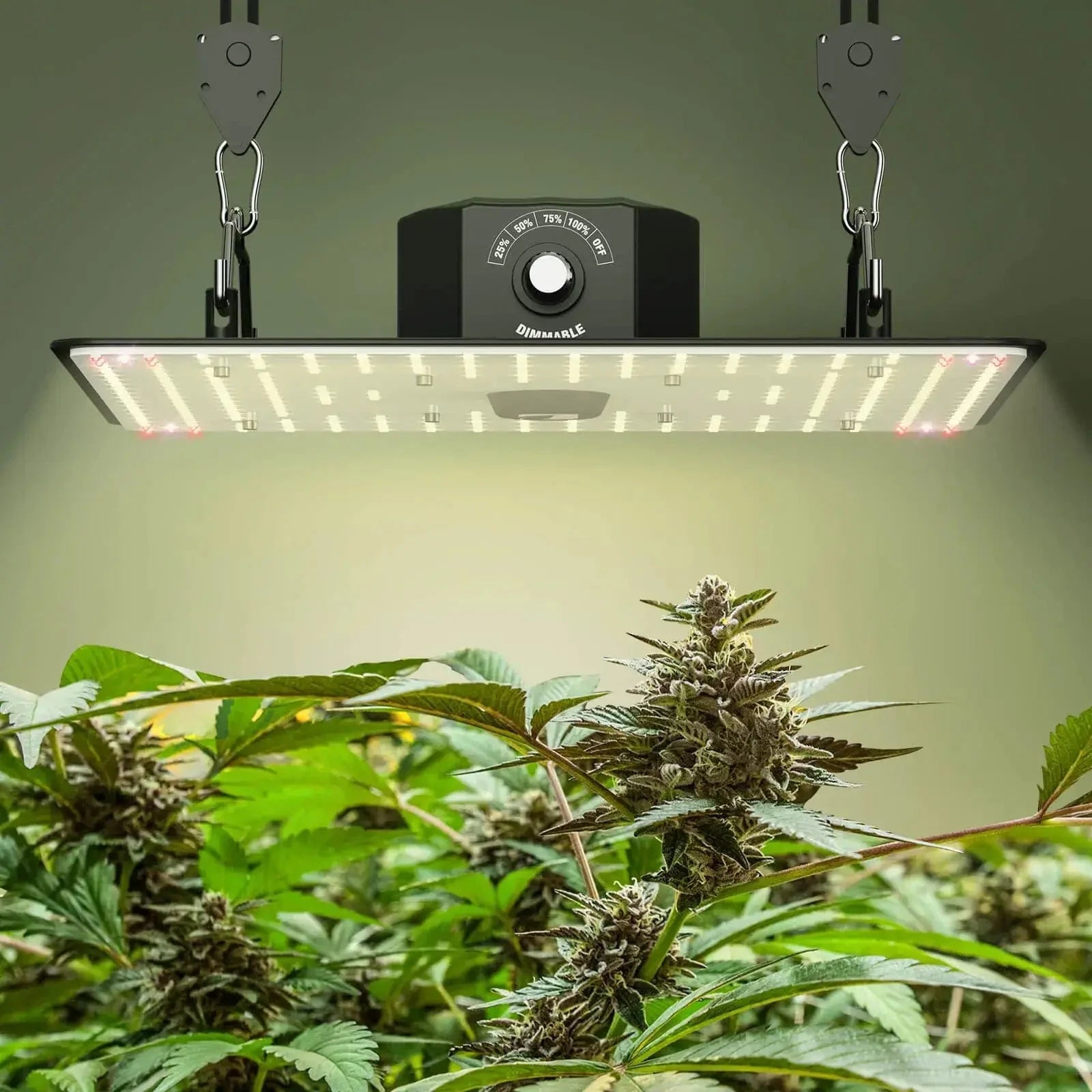 JAMSUNG-150W SD-X3 LED Plant Grow Light - 5 Packs